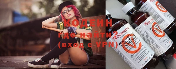 соль ск Гусев