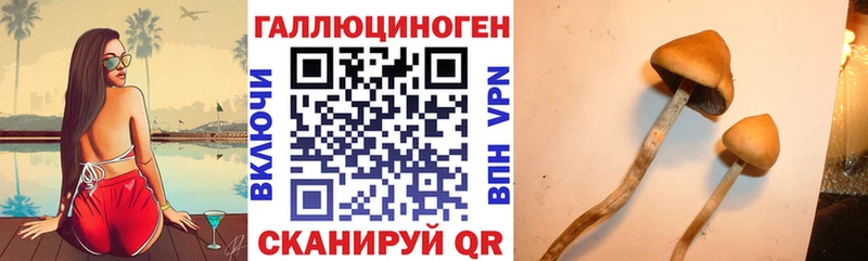 наркотики  Назарово  Галлюциногенные грибы мицелий 