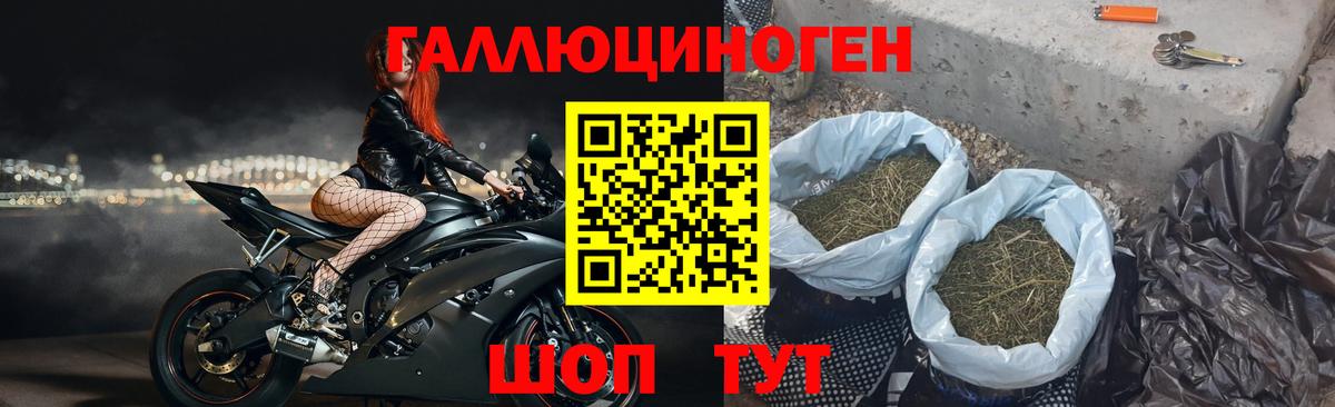 Псилоцибиновые грибы GOLDEN TEACHER  Назарово  Псилоцибиновые грибы прущие грибы 