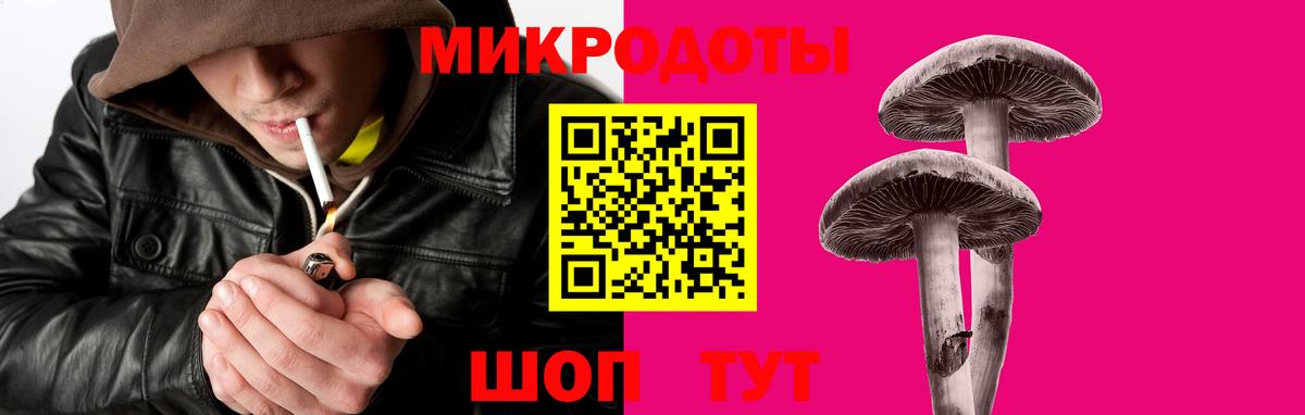 Галлюциногенные грибы Psilocybe Назарово